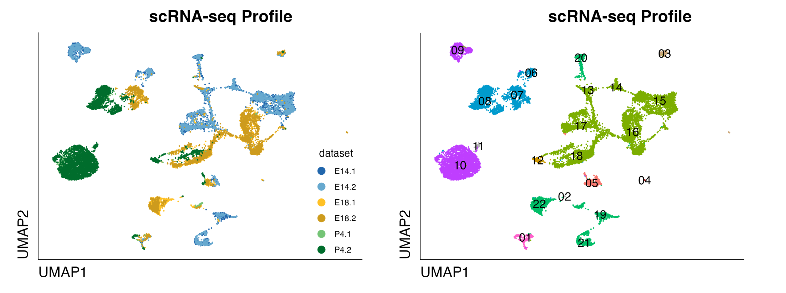 porcine_agg dataset